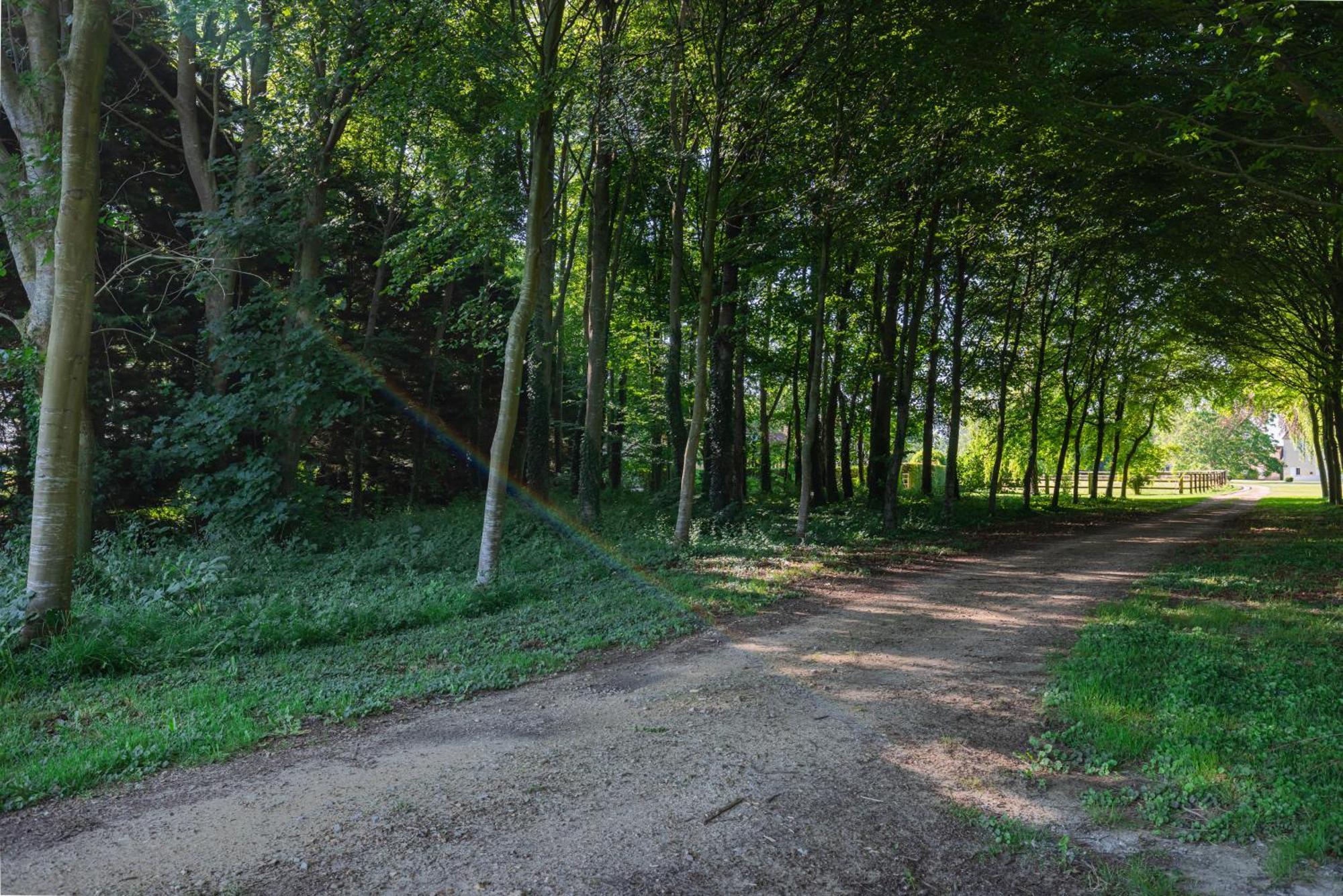 Charmante Chaumiere Romantique Bieville-en-Auge Exteriör bild